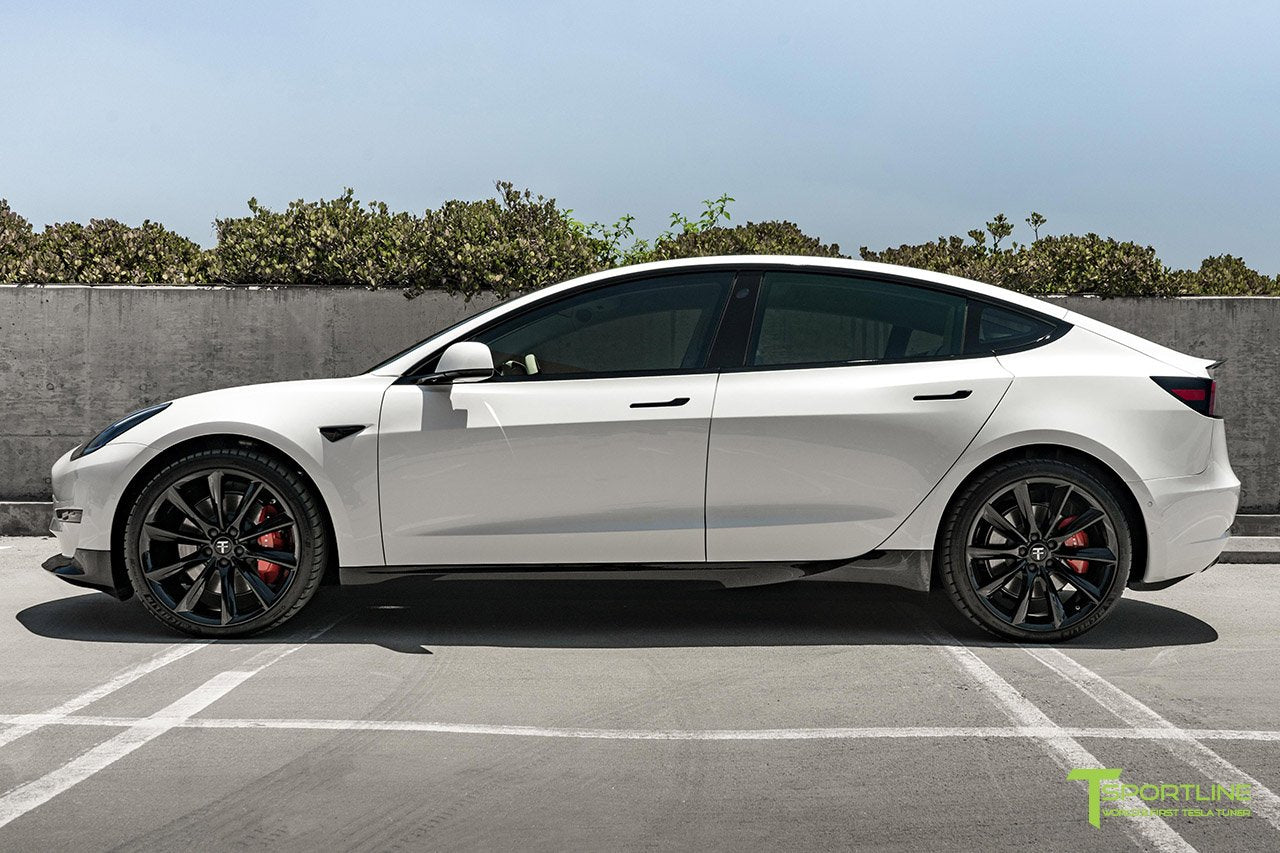 1EV Tesla Model 3 Carbon Fiber Front Apron